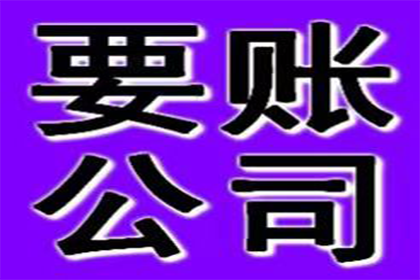 洪泽清债公司